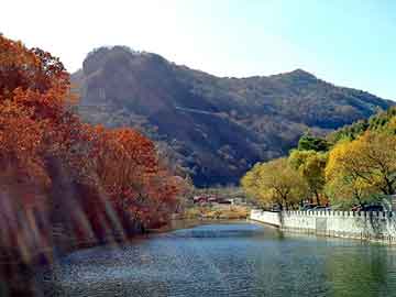 管家婆黑白马报图库，氢化松香